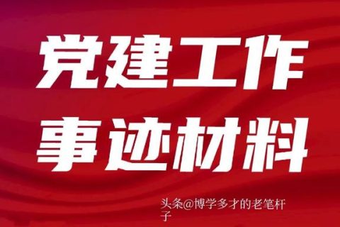 2023年醫(yī)院黨建工作個人先進事跡材料